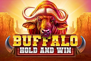 Buffalo Hold And Win at Spinchester